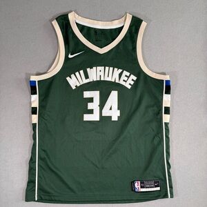 Nike Milwaukee Bucks Giannis Antetokounmpo Jersey